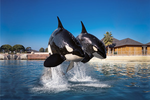 Marineland Parc à thème - Antibes