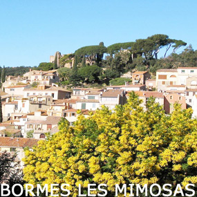 vacances camping bormes les mimosas